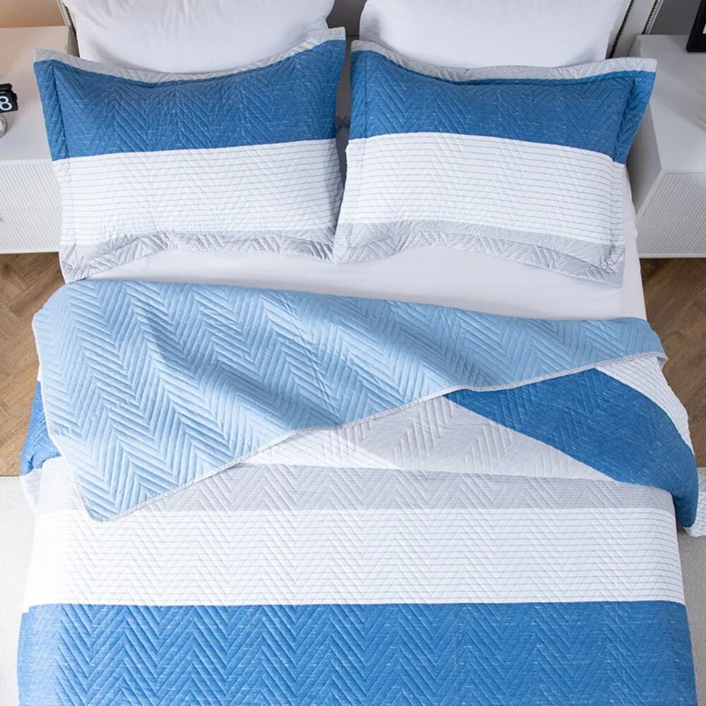 Queen - Soft & Cozy Blue and White Quilt Set